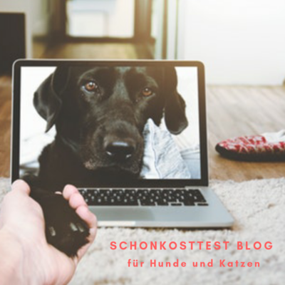 Hund ragt aus dem PC heraus