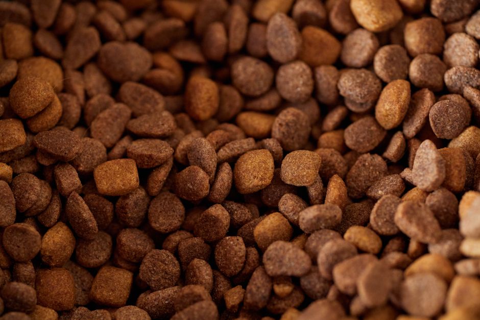 Trockenfutter-Kroketten für Katzen
