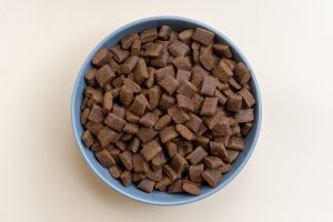 Leberschonkost beim Hund: Eiweiß, Fett und Mahlzeitenplan