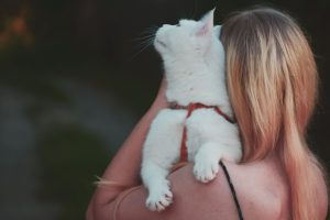Nymphensittiche füttern: Körner, Frischfutter und Grit