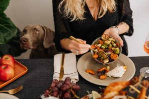 Giardien beim Hund: Fütterung während und nach der Behandlung