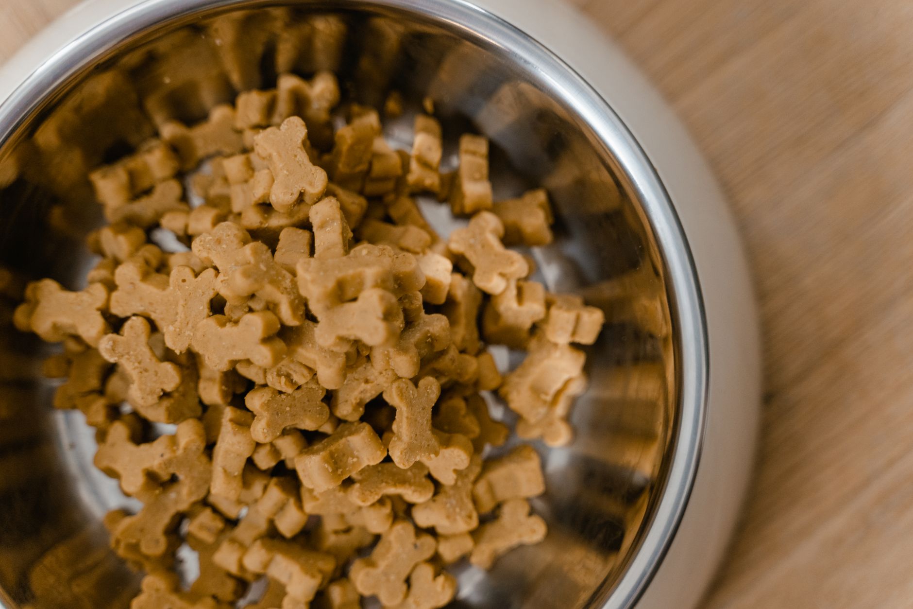 Knochenbrühe für Hunde: Nutzen, Rezept und Grenzen