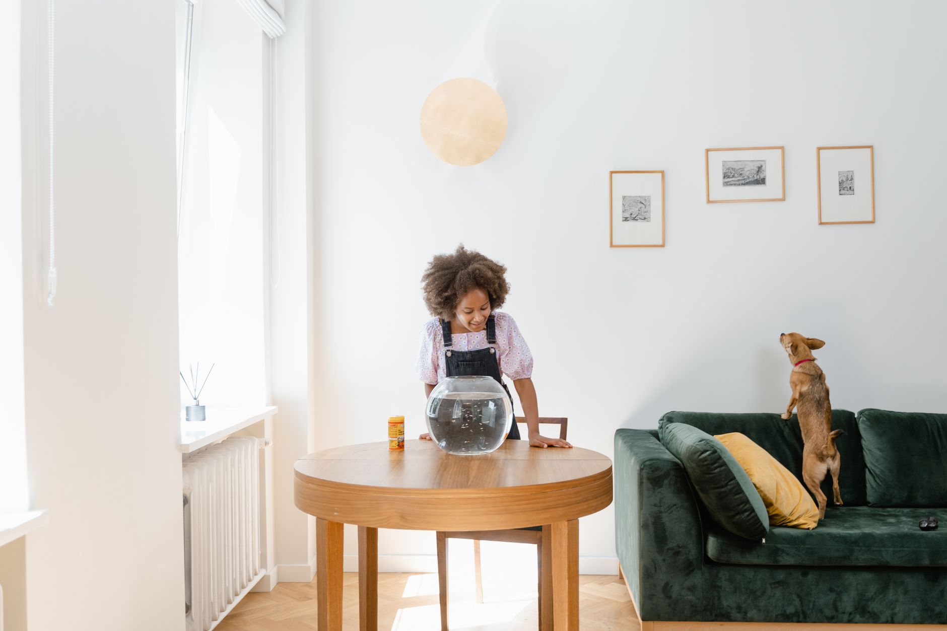 Young girl with pet dog watching a fish tank in a bright, modern living room.